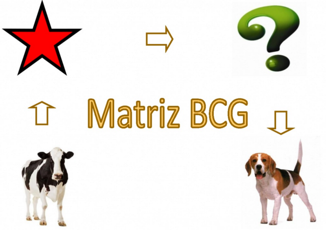 matriz BCG
