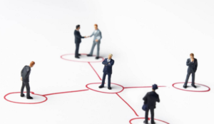 estrutura organizacional